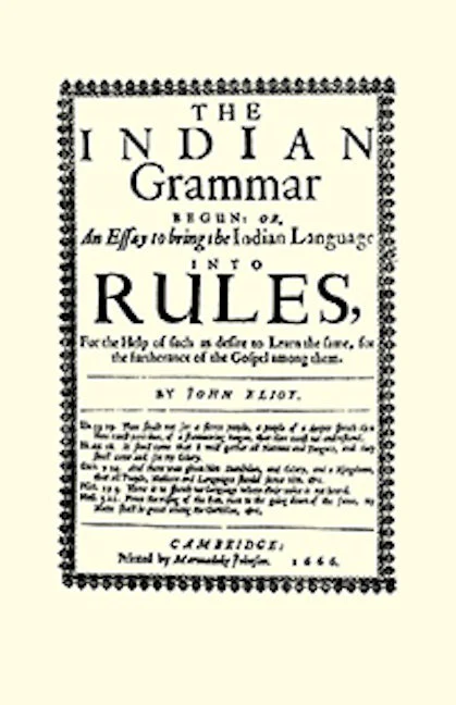 Indian Grammar Begun