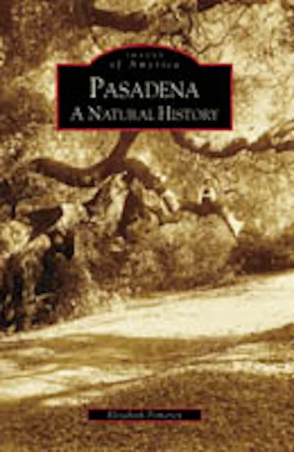 Pasadena