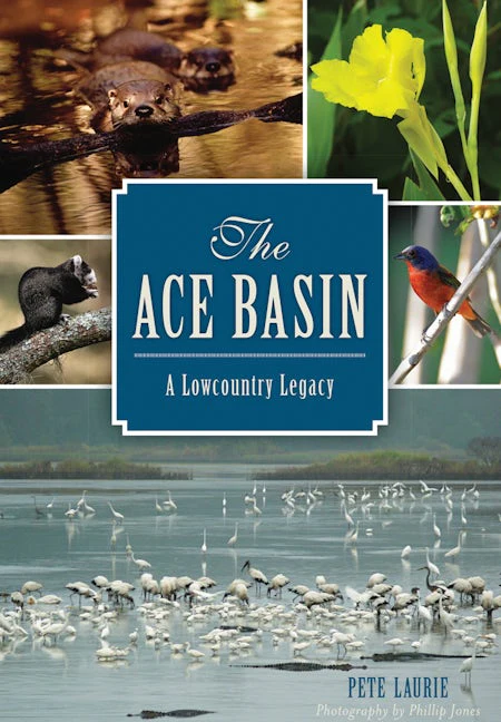 The ACE Basin