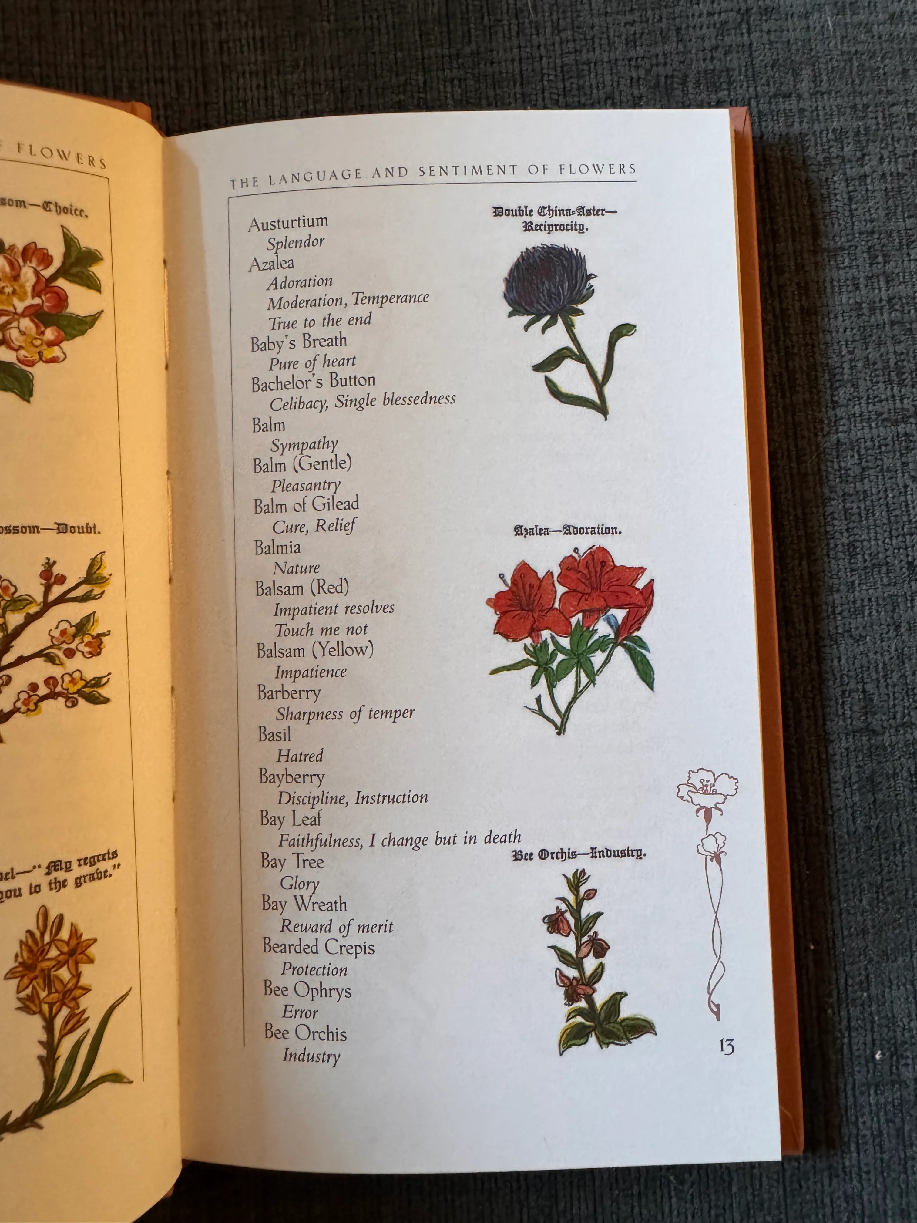 The Language and Sentiment of Flowers - Image 3