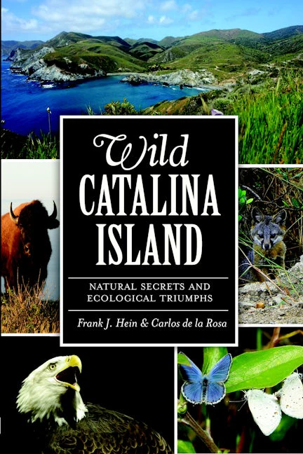 Wild Catalina Island